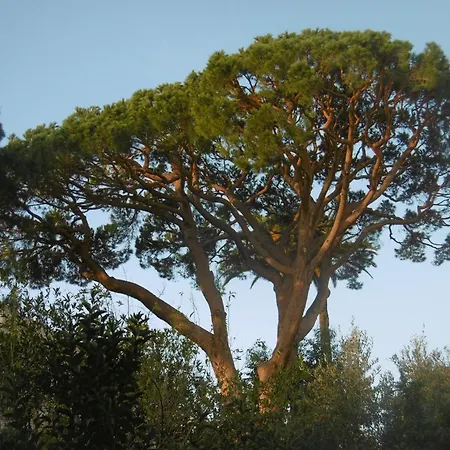 Holiday home Cannes, Cote D'azur - Maison De Jardin Au Calme, Proche De La Croisette *